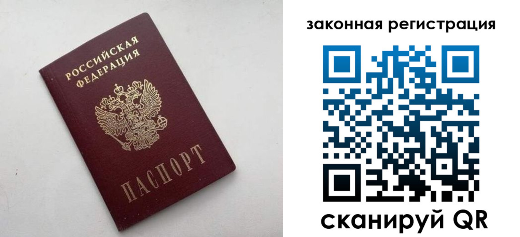 прописка гарантия в Киселёвске